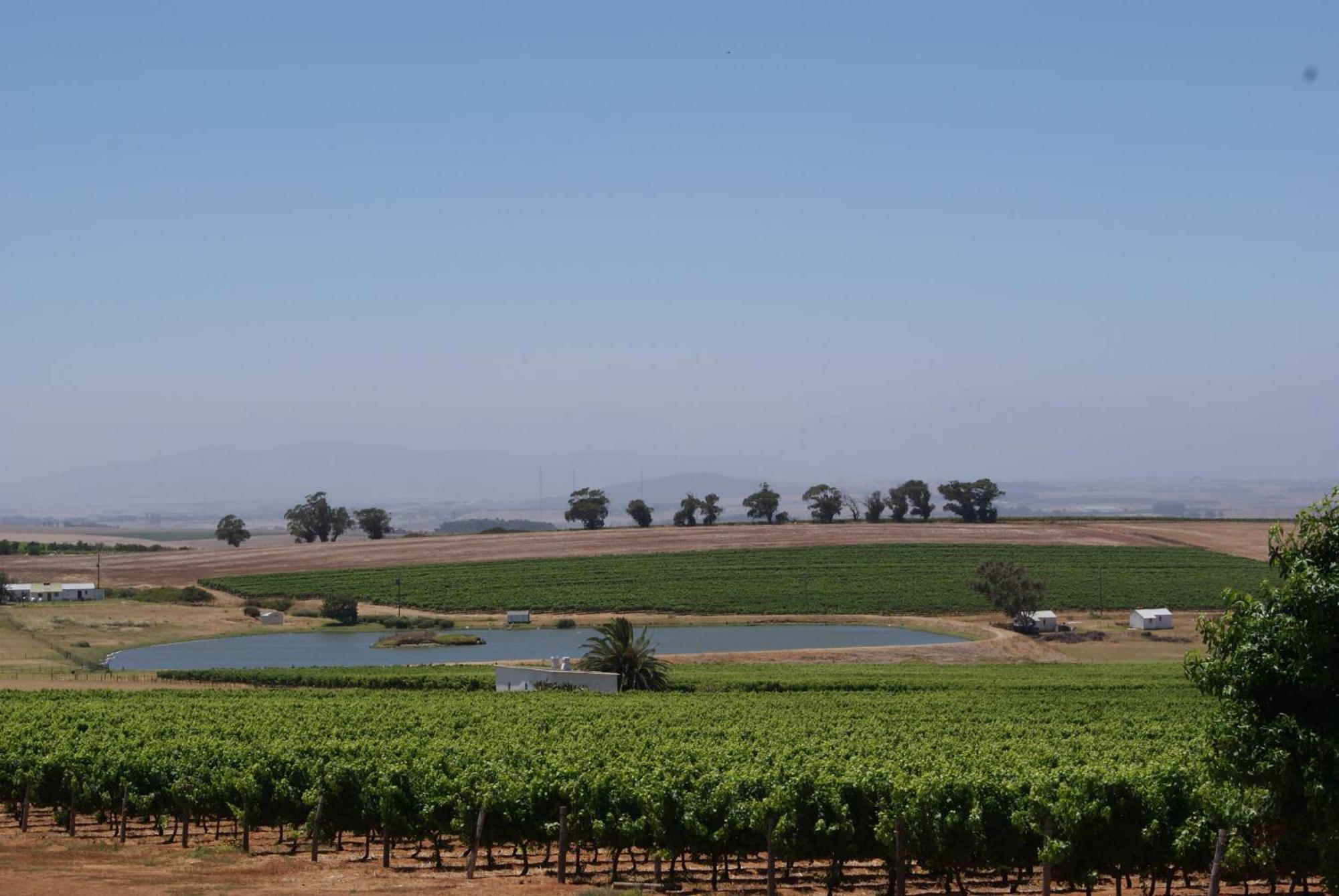 Meerendal Boutique Hotel Durbanville Exterior foto